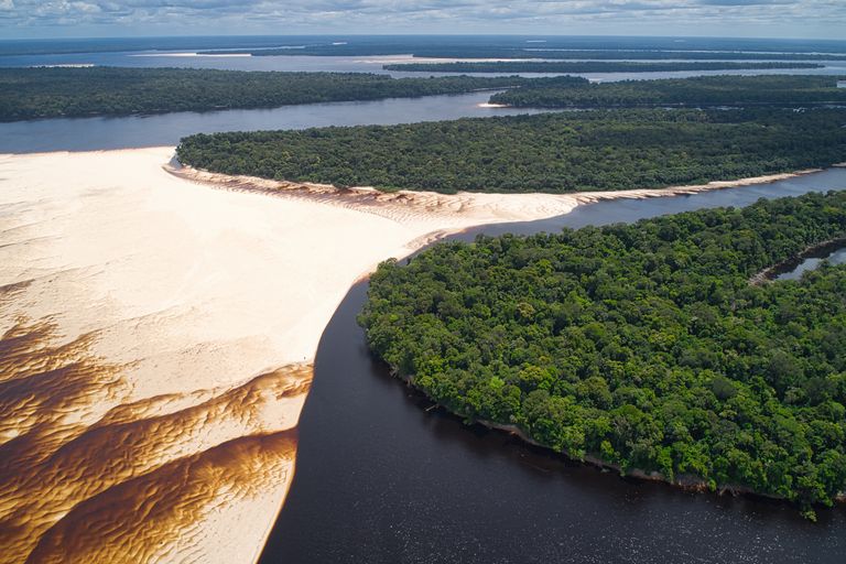 Stunning aerial view of sandbanks and lush forest in Barcelos, Brazil.
