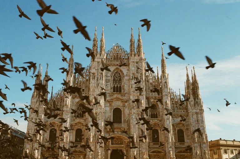 A stunning view of the iconic Milan Cathedral with birds flying against a clear blue sky.